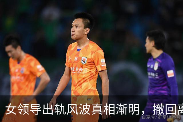 女领导出轨风波真相渐明，撤回离婚协议背后暗藏玄机